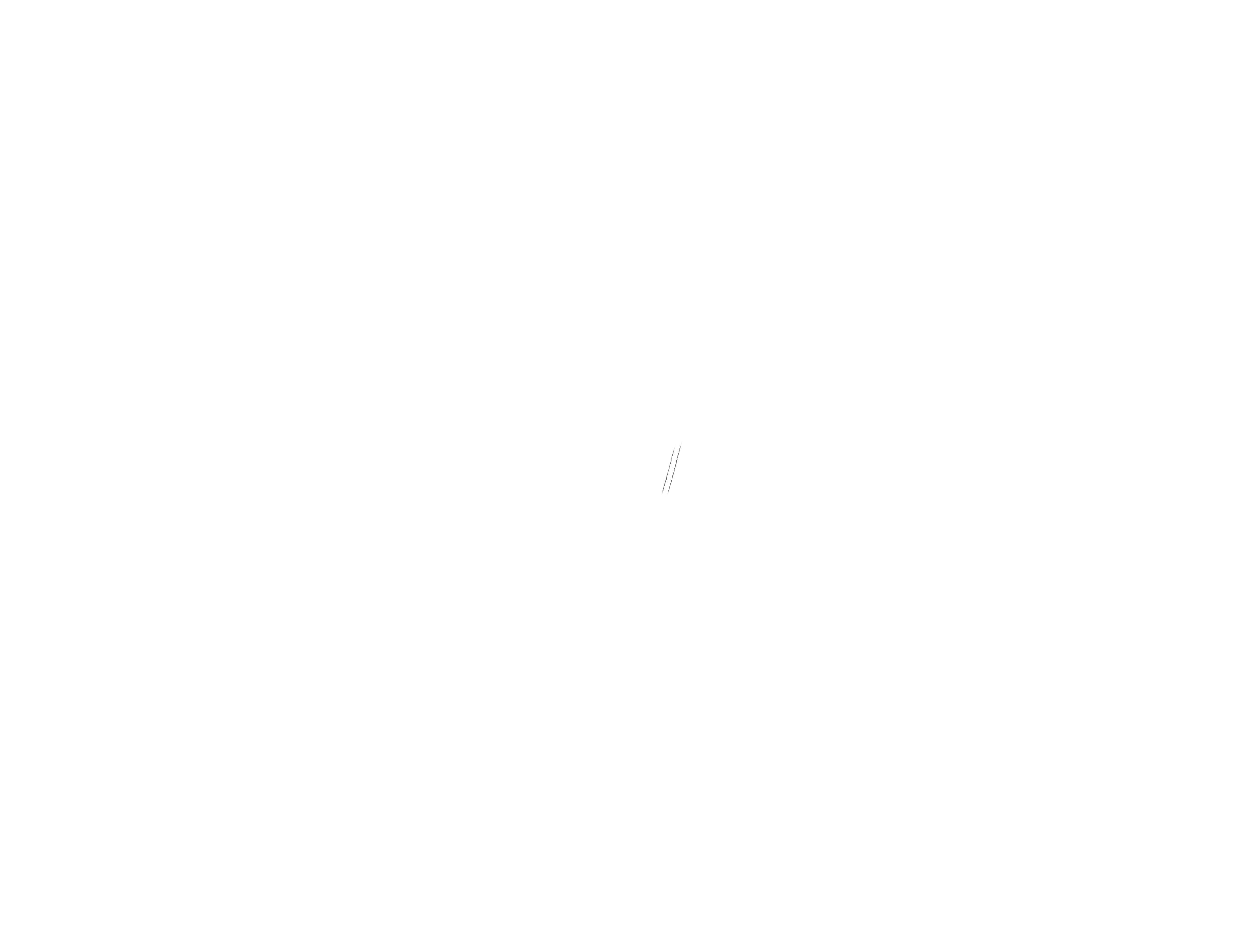 moving equine Pferdephysiotherapie & Hufbearbeitung